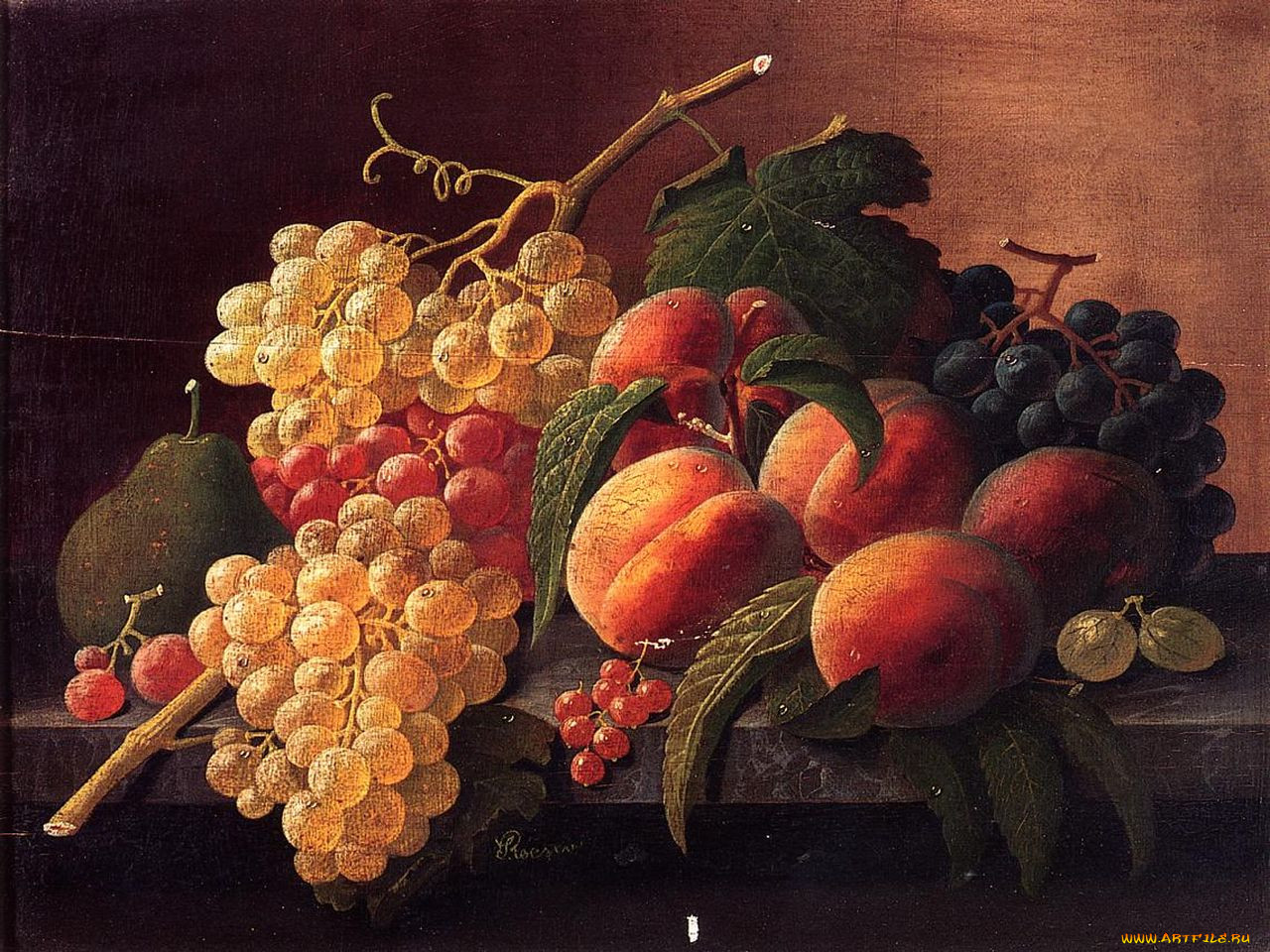 severin, roesen, 